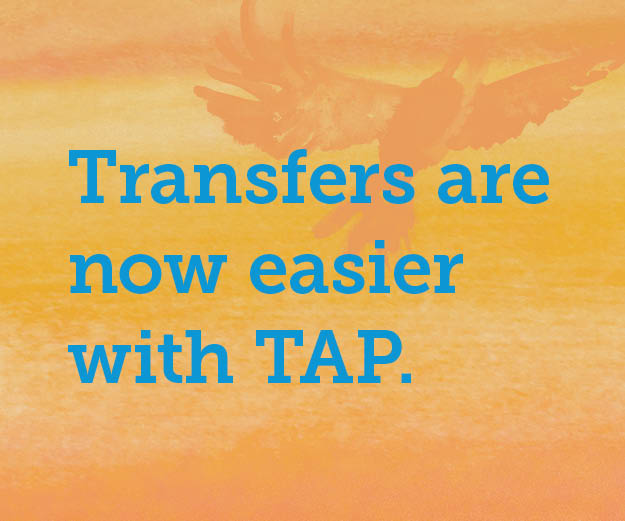 Transfers_Made_Easy_RGBWeb_Ads_300x250_generic